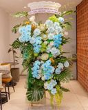  Azure Celebration 