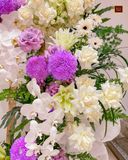  Ánh Tím Cuối Đời 