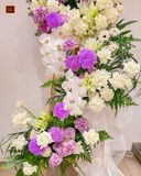  Ánh Tím Cuối Đời 