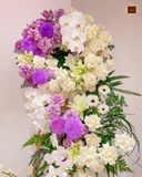  Ánh Tím Cuối Đời 