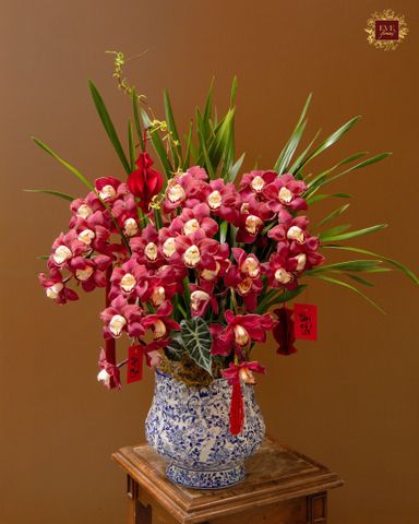  Địa Lan Cát Tường 