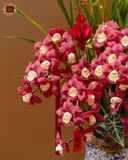  Địa Lan Cát Tường 