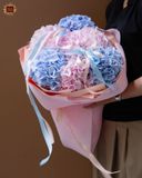  Hydrangea Dream 