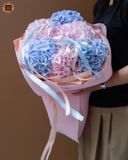  Hydrangea Dream 