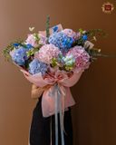  Blooming Softness 