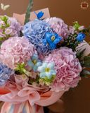  Blooming Softness 