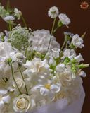  Timeless White 