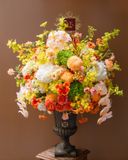  Golden Radiance Grandeur 