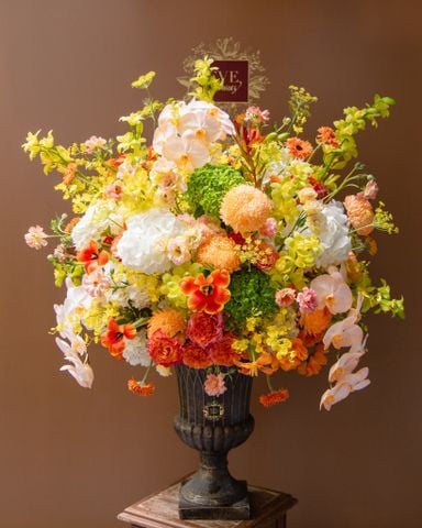  Golden Radiance Grandeur 