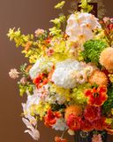  Golden Radiance Grandeur 