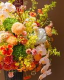  Golden Radiance Grandeur 