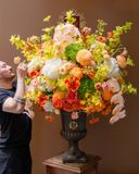  Golden Radiance Grandeur 