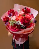  Red in Bloom 