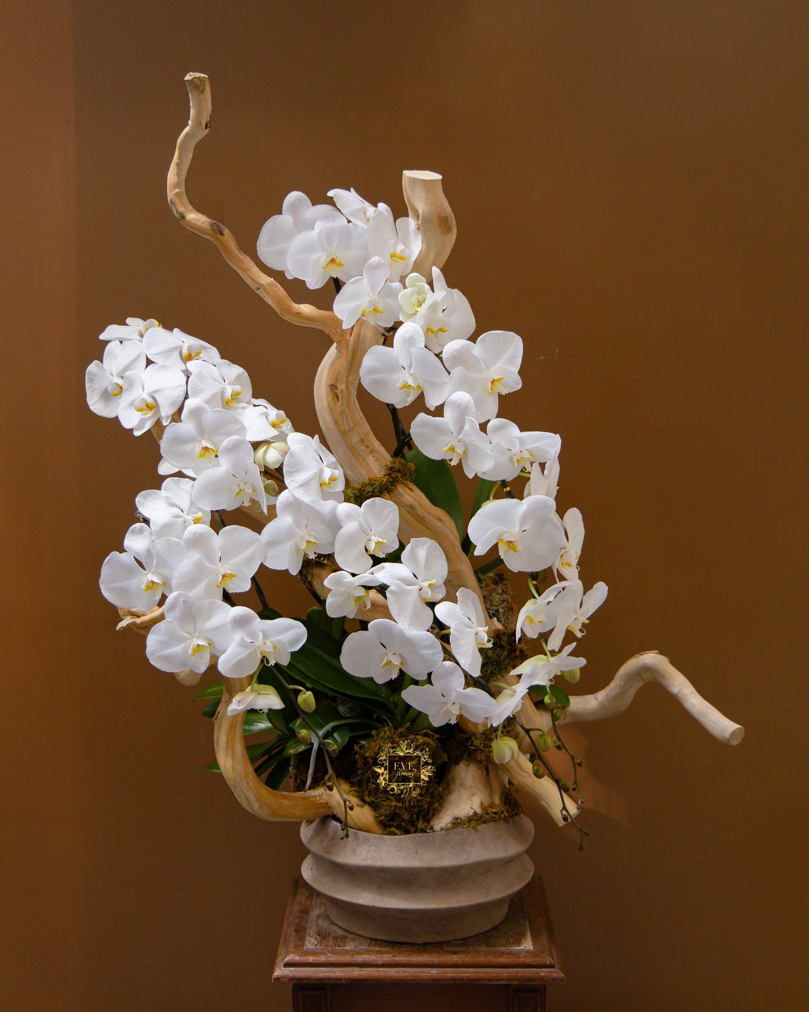  Tĩnh mộc 