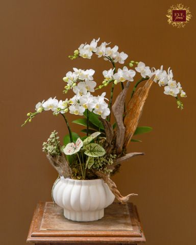  Nắng Nghiêng 