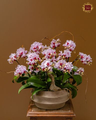  Sum Vầy 