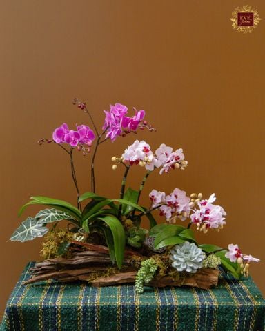  Nét Mộc 