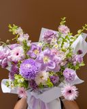  Provence Dream 