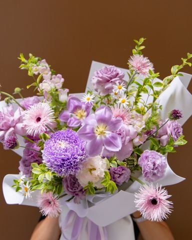  Provence Dream 