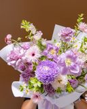  Provence Dream 