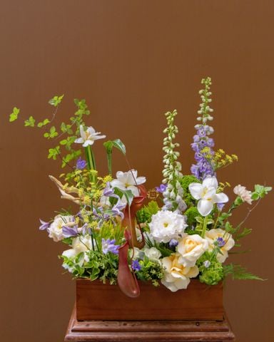  Botanical Bliss 
