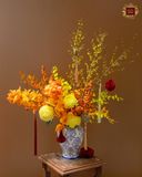  Rạng Rỡ Ngày Xuân 