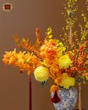  Rạng Rỡ Ngày Xuân 