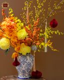  Rạng Rỡ Ngày Xuân 