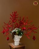  Vũ Điệu Năm Mới 