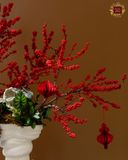  Vũ Điệu Năm Mới 