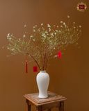  Tuyết Mai Nhật Bản 