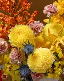  Hoa Nở Đầu Năm 