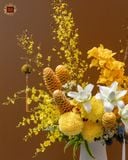  Tân Niên Vẹn Toàn 