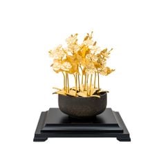 Kim lan hồ điệp DGFBB0004400001