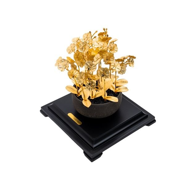 Kim lan hồ điệp DGFBB0004400001