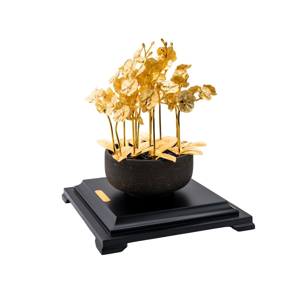 Kim lan hồ điệp DGFBB0004400001 