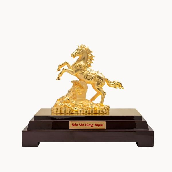 Bảo mã hưng thịnh cỡ S DMNAA0039300001