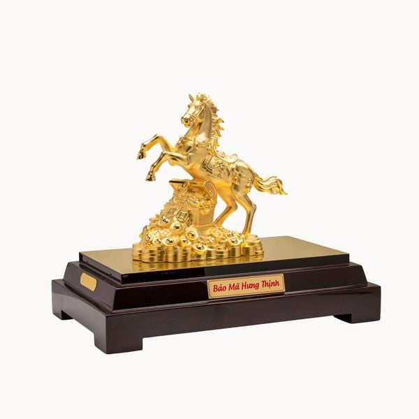 Bảo mã hưng thịnh cỡ S DMNAA0039300001