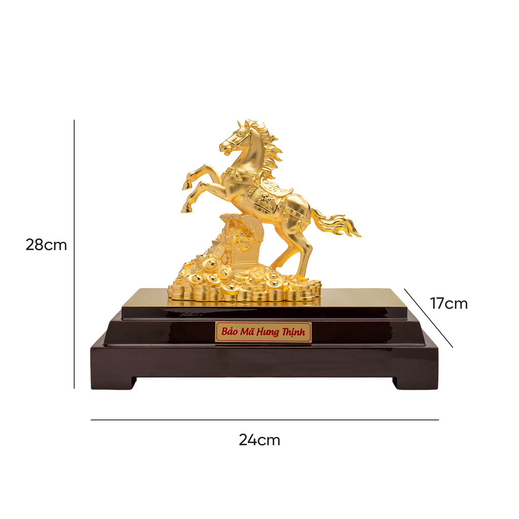 Bảo mã hưng thịnh cỡ M DMNAA0039400001 