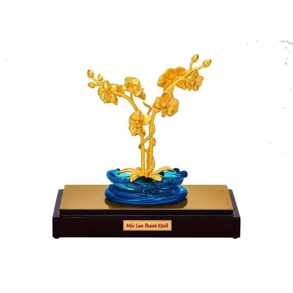 Mộc Lan Thanh Khiết DMNAA0503200001