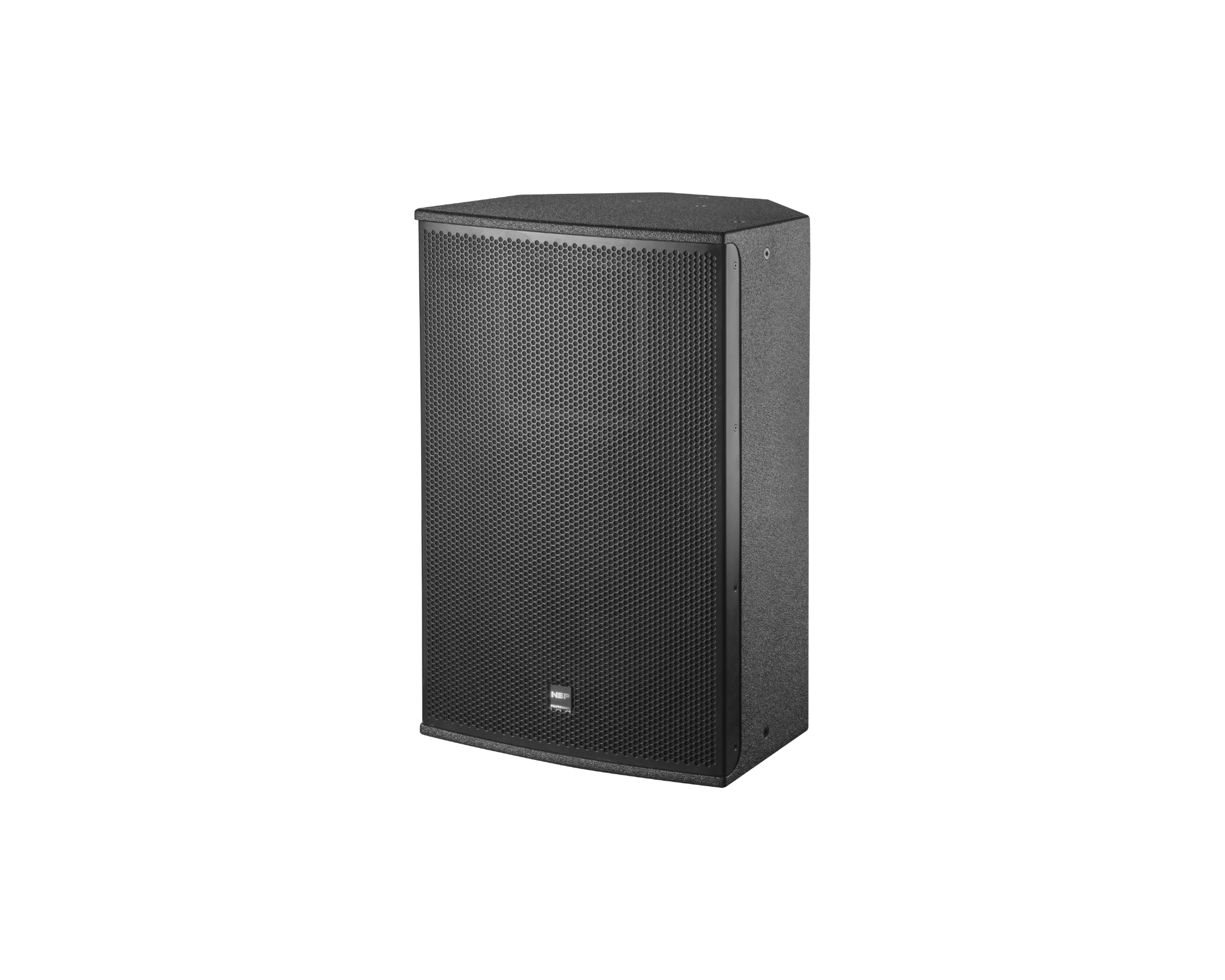 Loa Fullrange NSP Audio HS12