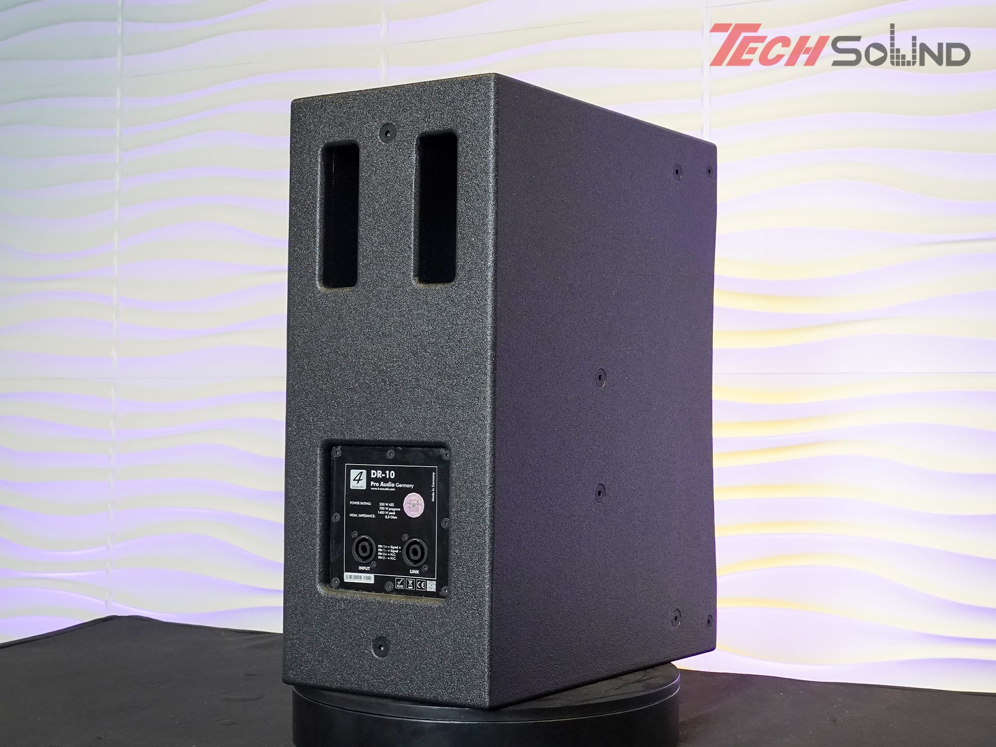 Loa Fullrange 4Acoustic DR10