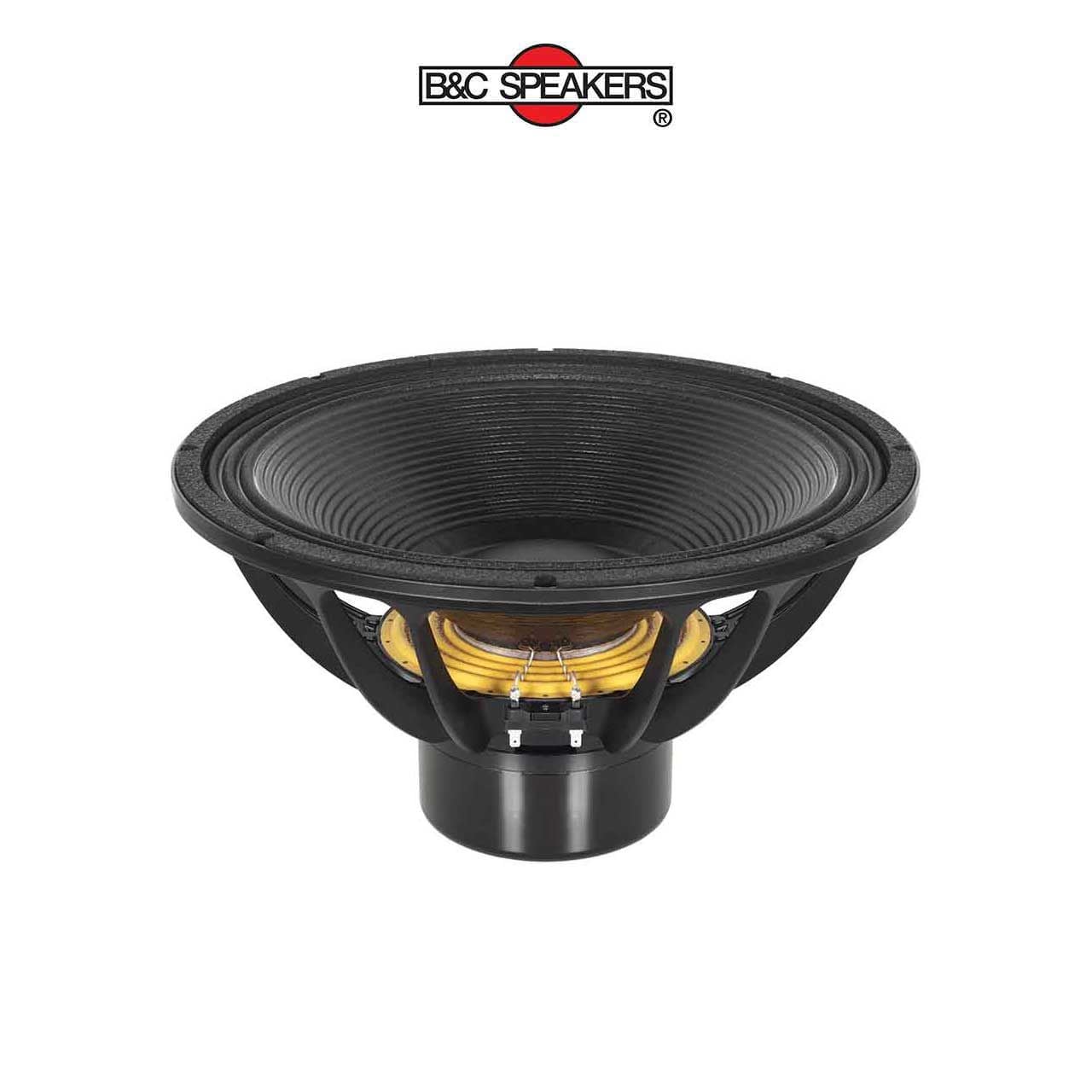 LOA BASS RỜI 5 TẤC B&C SPEAKERS 18DS100