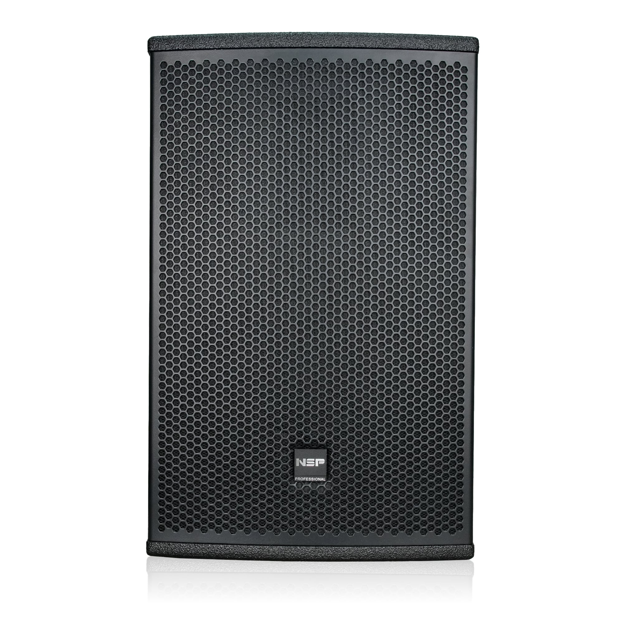 Loa Fullrange NSP Audio HS10