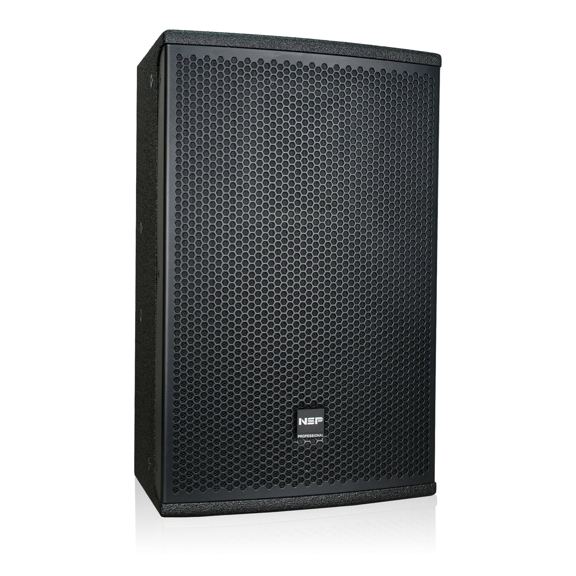 Loa Fullrange NSP Audio HS10