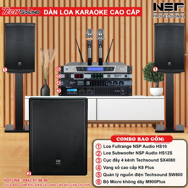Dàn Loa Karaoke NSP Audio HS10