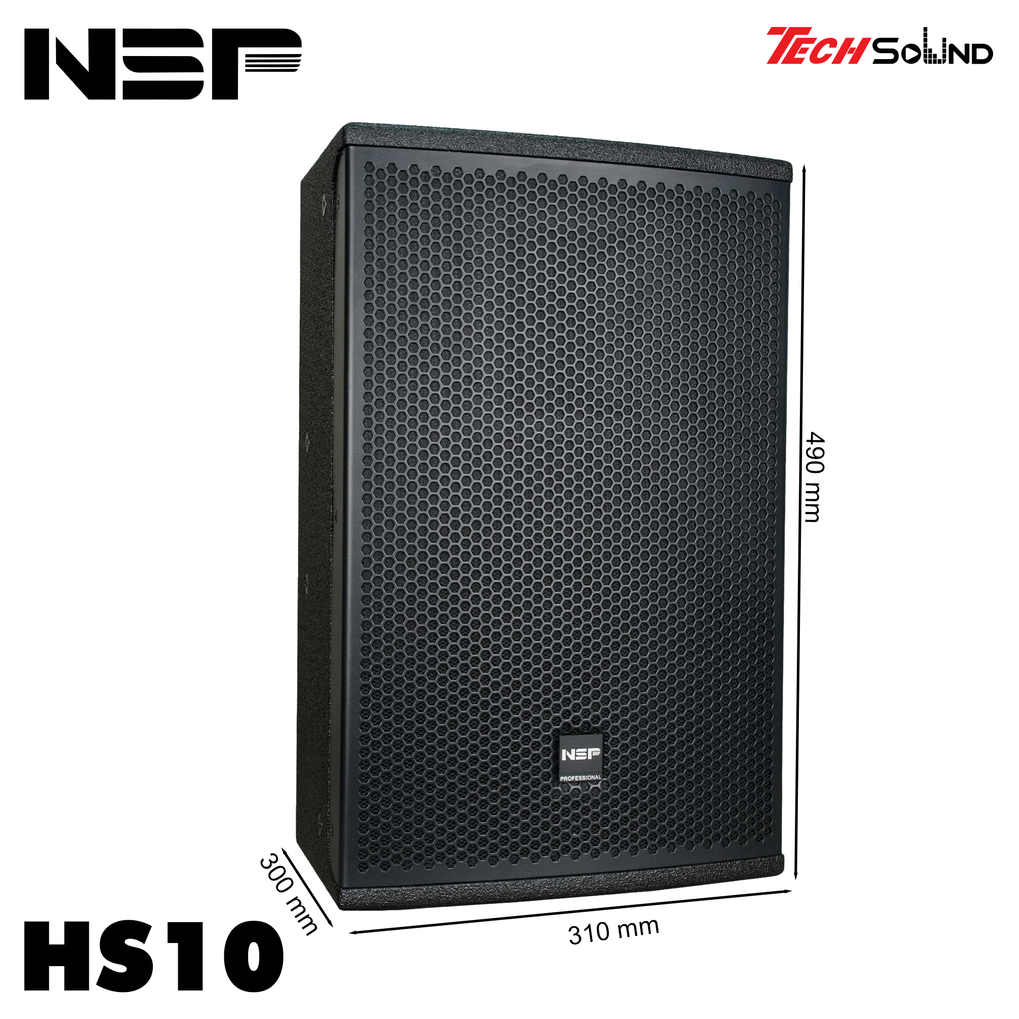 Loa Fullrange NSP Audio HS10