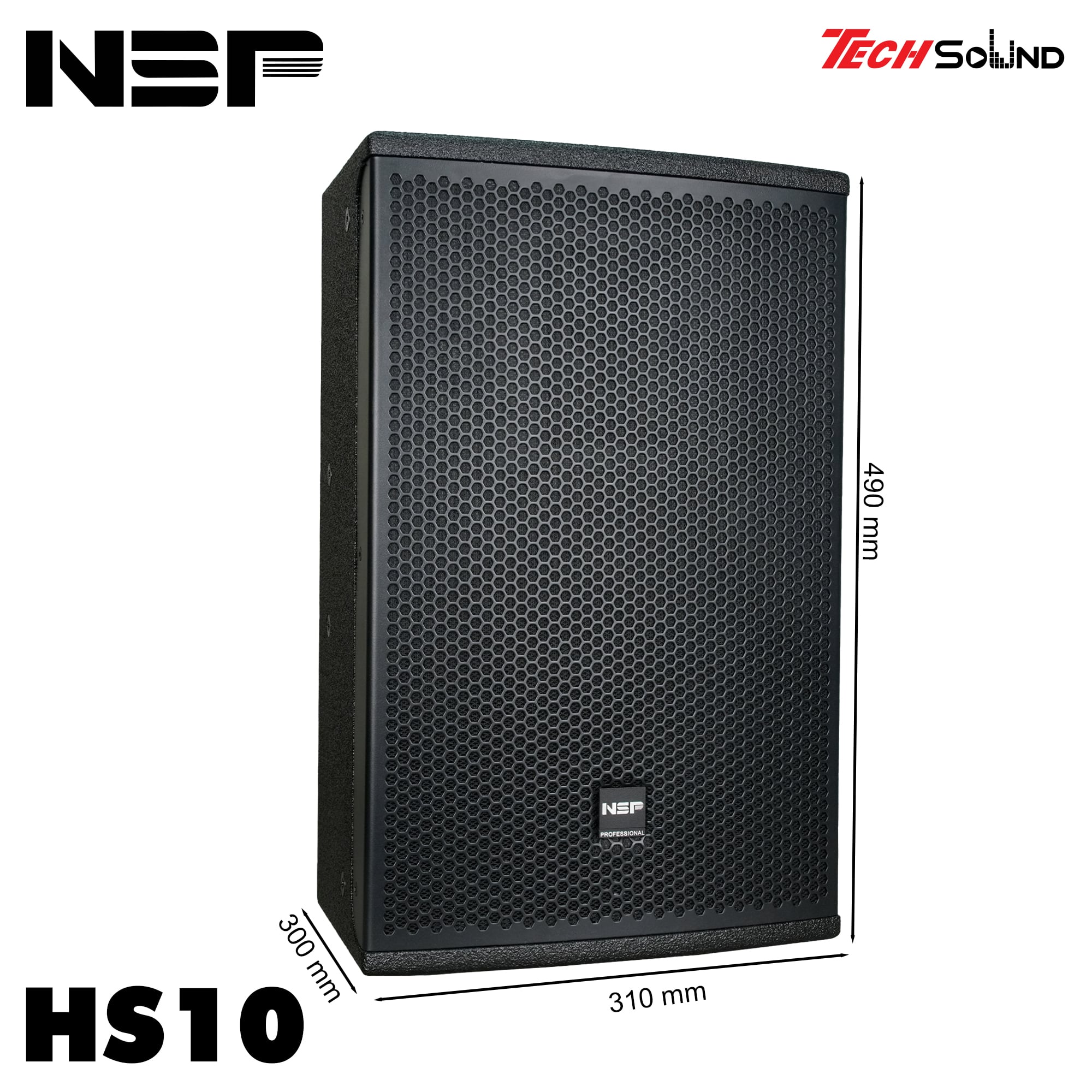 Loa Fullrange NSP Audio HS10