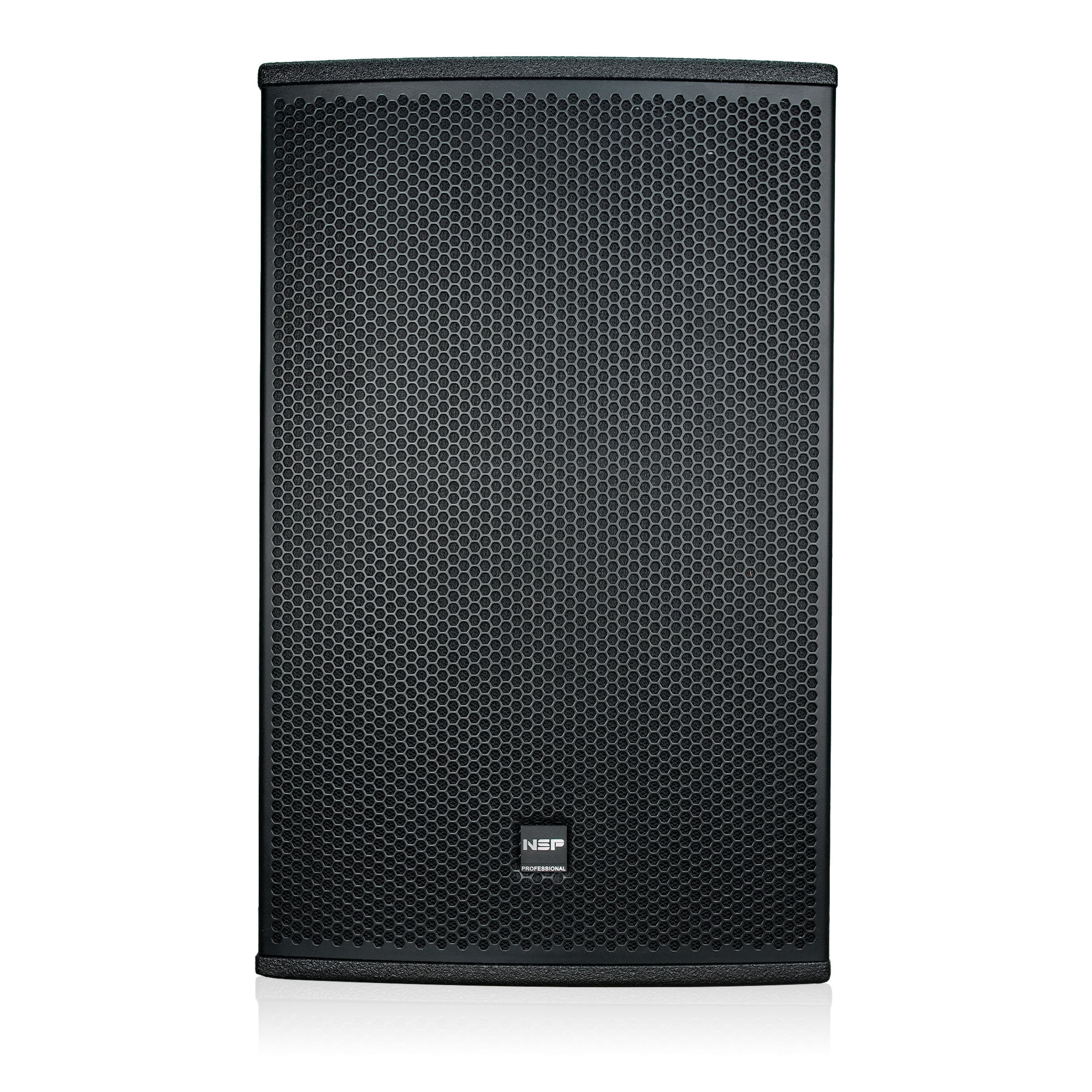 Loa Fullrange NSP Audio HS12