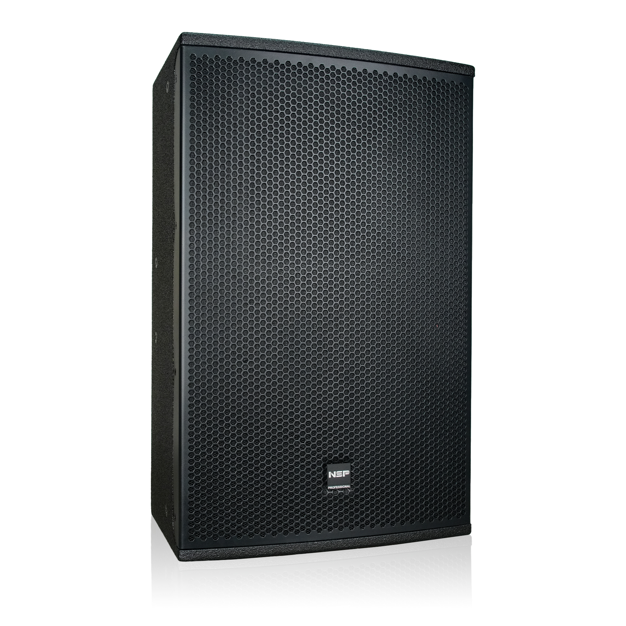 Loa Fullrange NSP Audio HS12